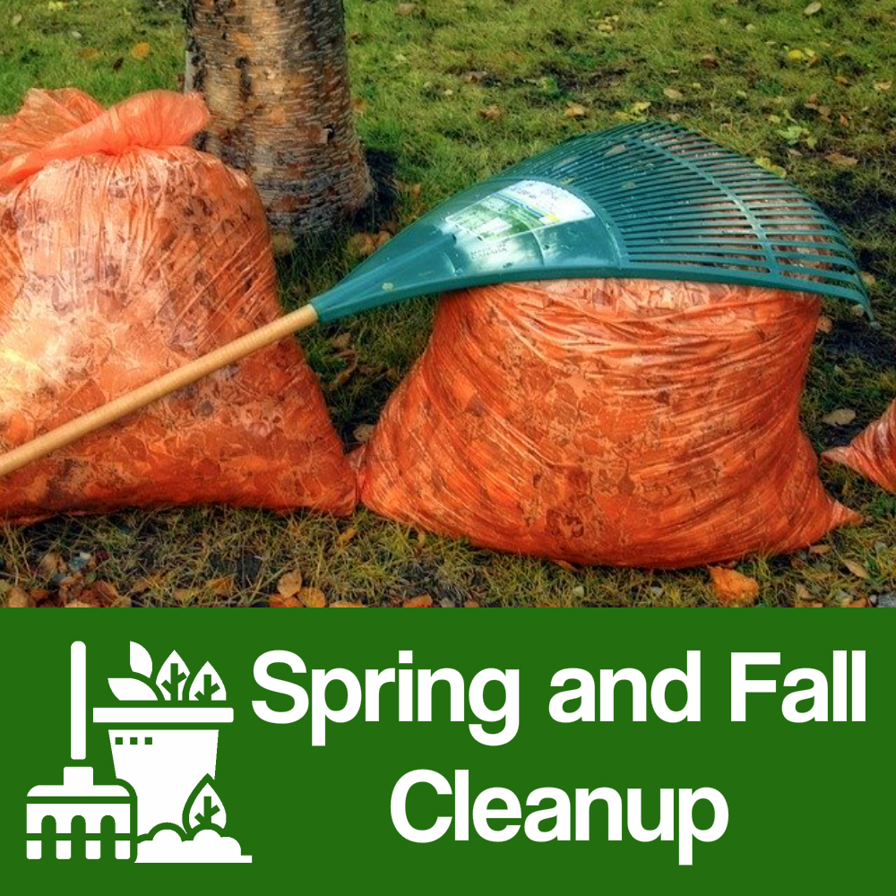 fallspringcleanup